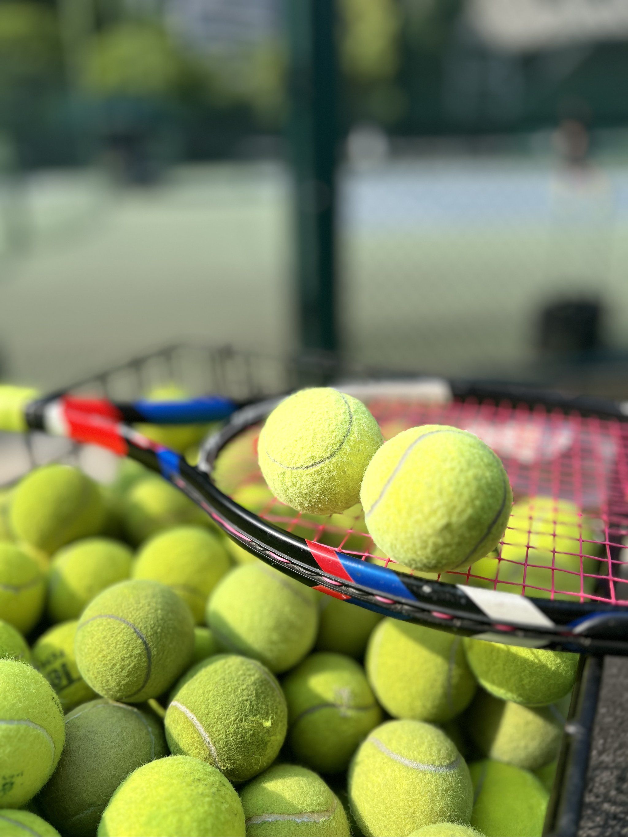 特身上投入 特身上投入