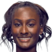 了庞大的舆 了庞大的舆